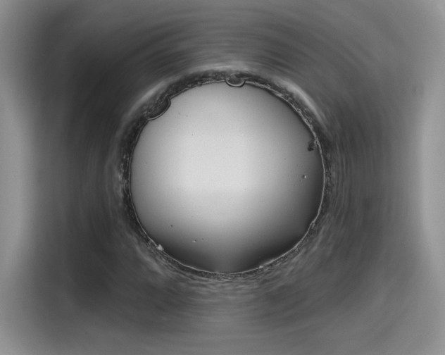 X0000115651064200911171438