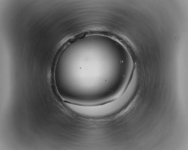 X0000115651065200911171438