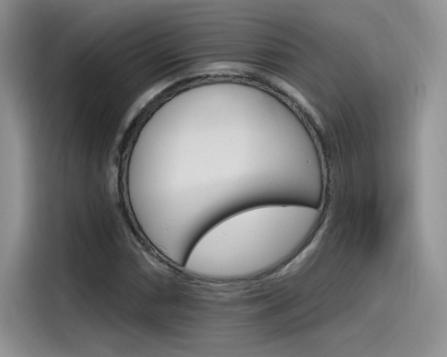 X0000115651066200911171438