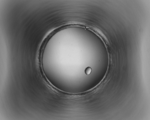 X0000115651068200911171438