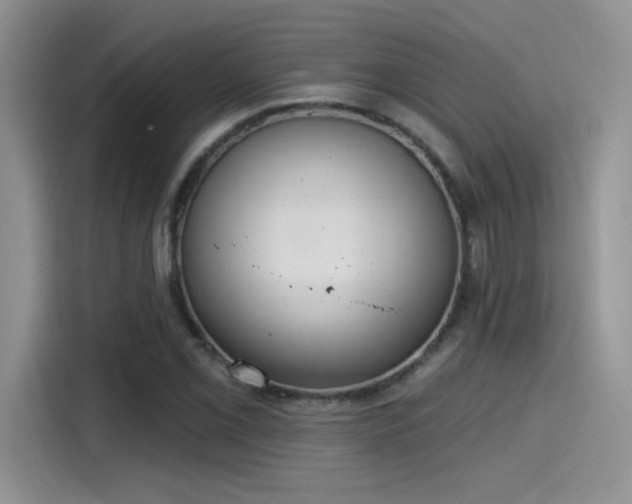 X0000115651069200911171438