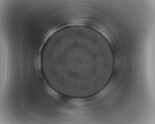 X0000115651075200911171438