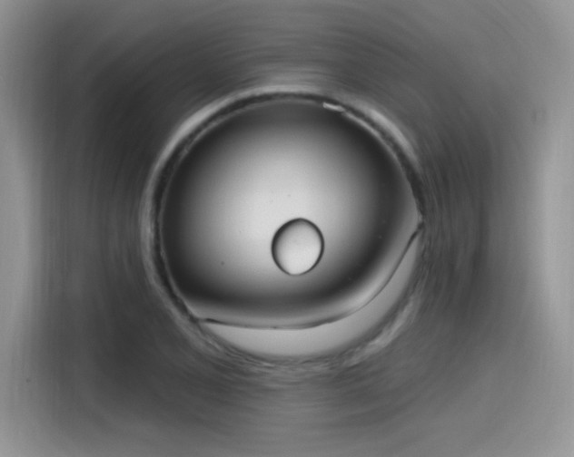 X0000115651077200911171438