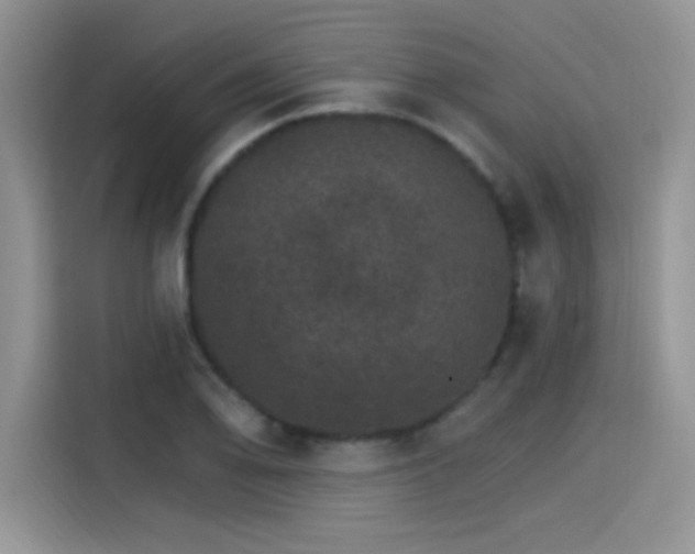 X0000115651078200911171438