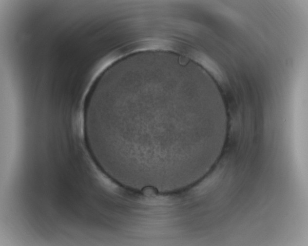 X0000115651079200911171438