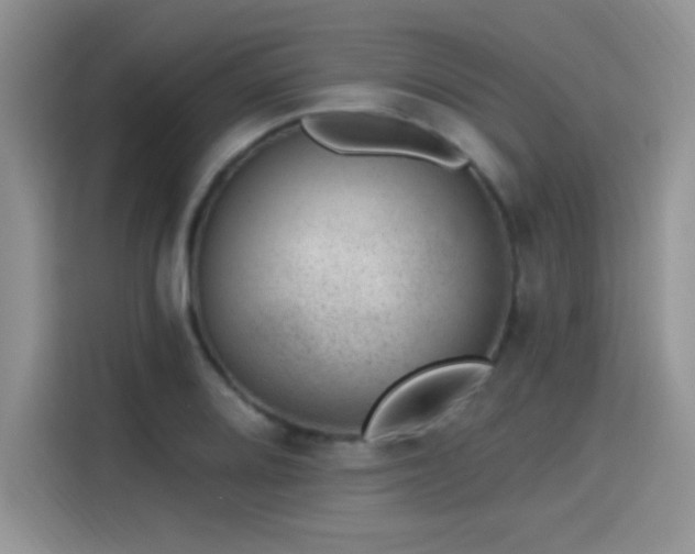 X0000115651080200911171438