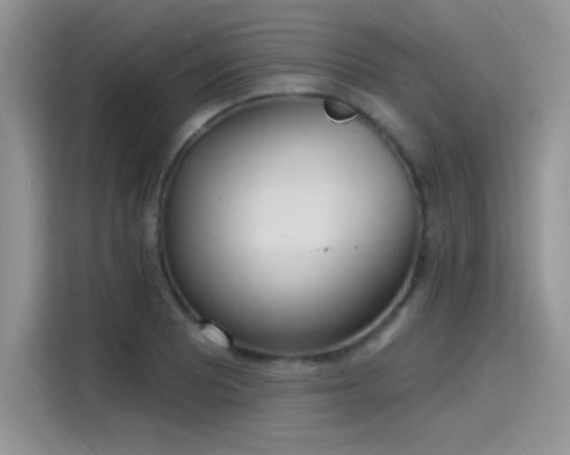 X0000115651081200911171438