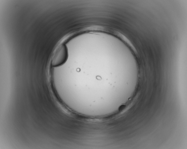 X0000115651082200911171438