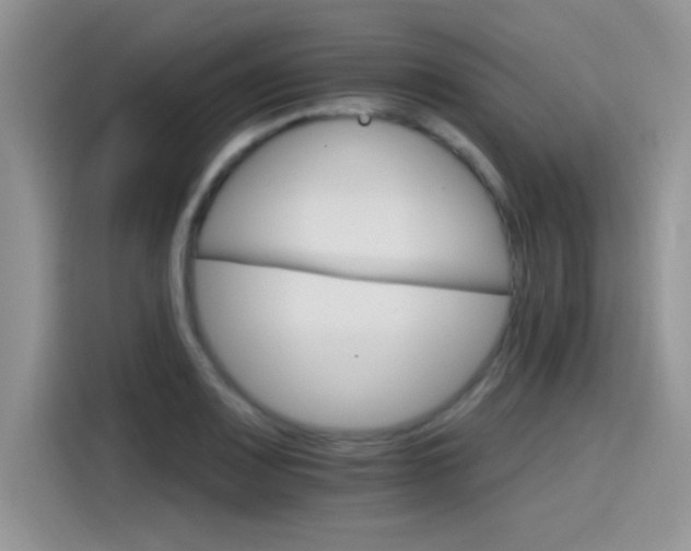 X0000115651083200911171438