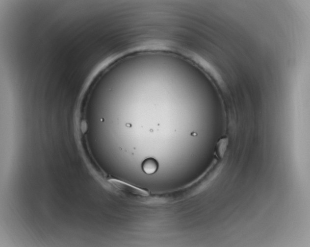 X0000115651085200911171438