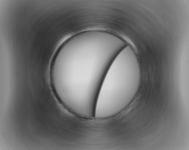 X0000115651087200911171438