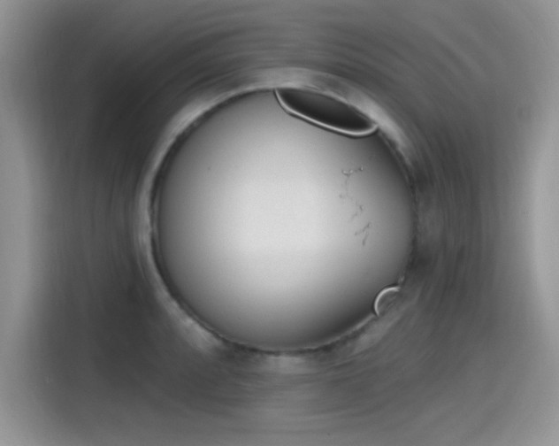 X0000115651088200911171437