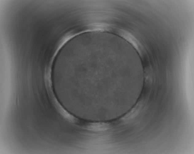 X0000115651091200911171437