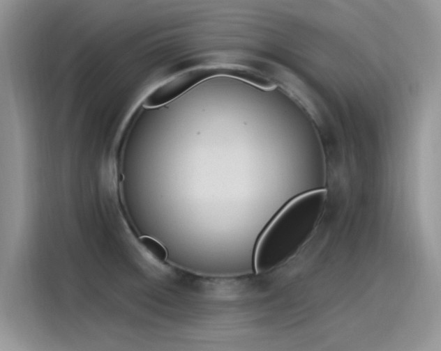 X0000115651092200911171437