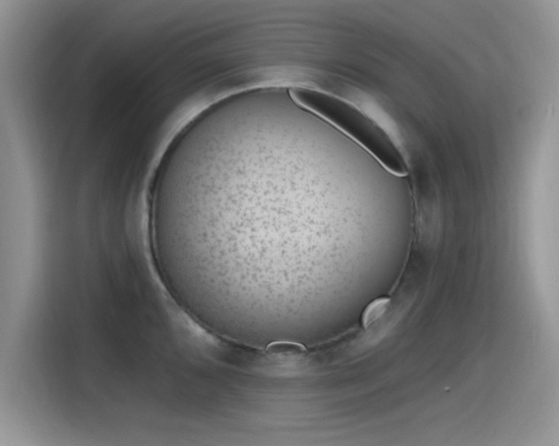 X0000115651096200911171437