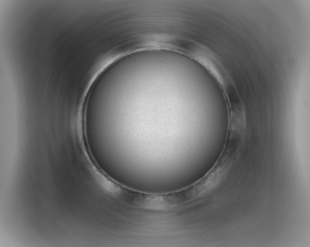 X0000115651098200911171437