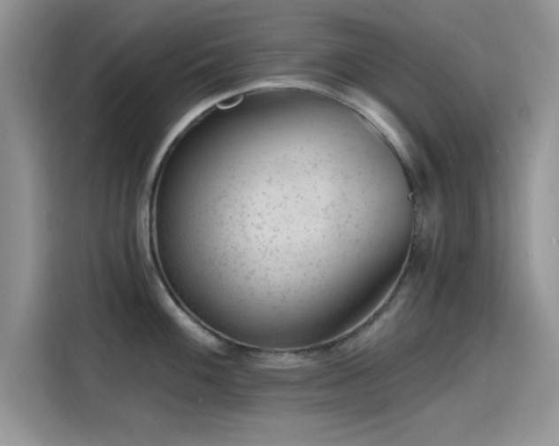 X0000115651100200911171437