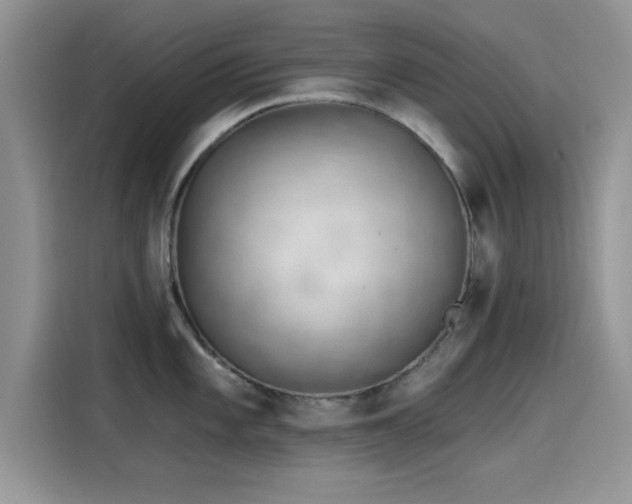 X0000115651101200911171437