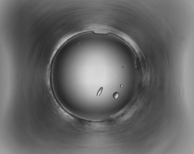 X0000115651102200911171437