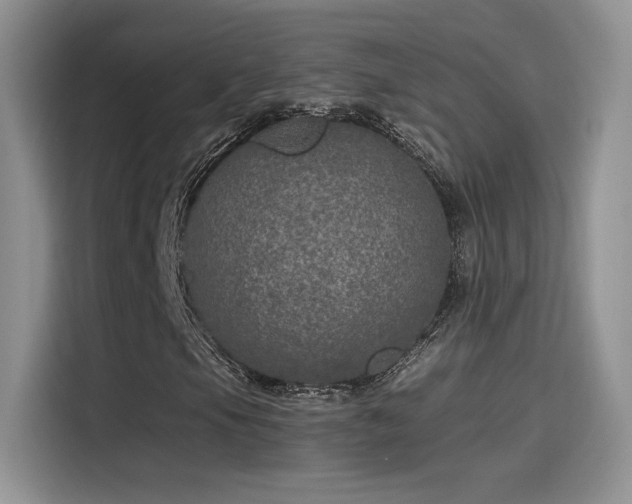 X0000115651105200911171437