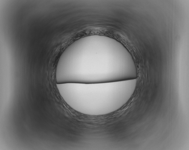 X0000115651109200911171437