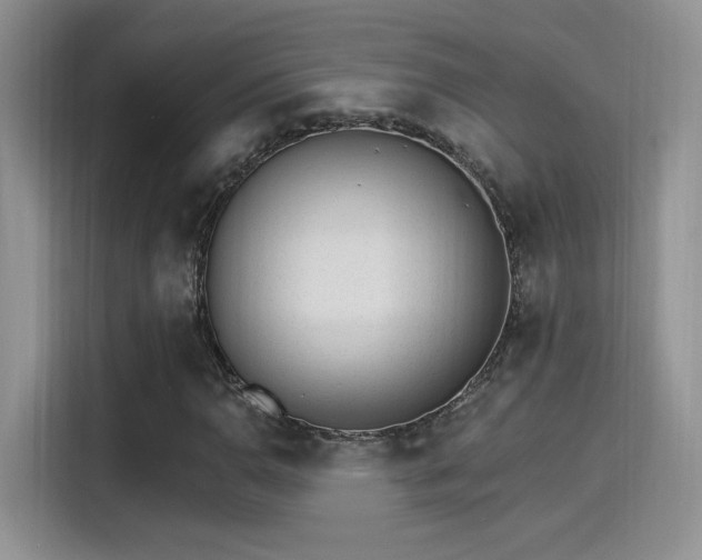 X0000115651110200911171437