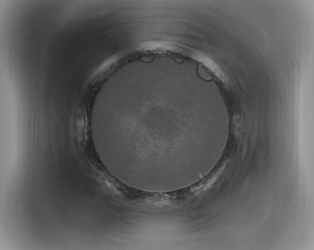 X0000115651111200911171437