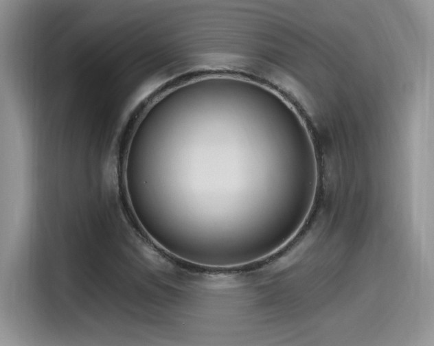 X0000115651114200911171437