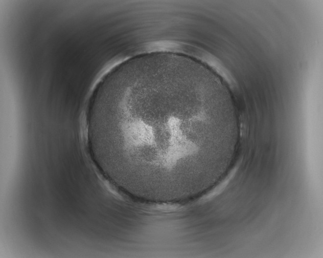 X0000115651117200911171437