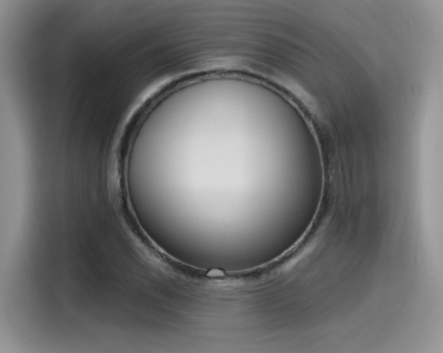 X0000115651118200911171437