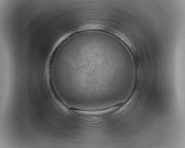 X0000115651119200911171437