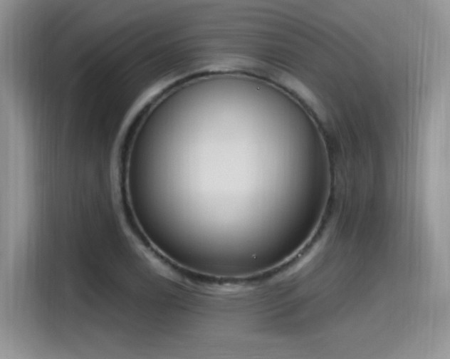 X0000115651122200911171437