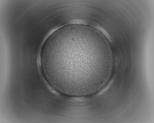 X0000115651125200911171437