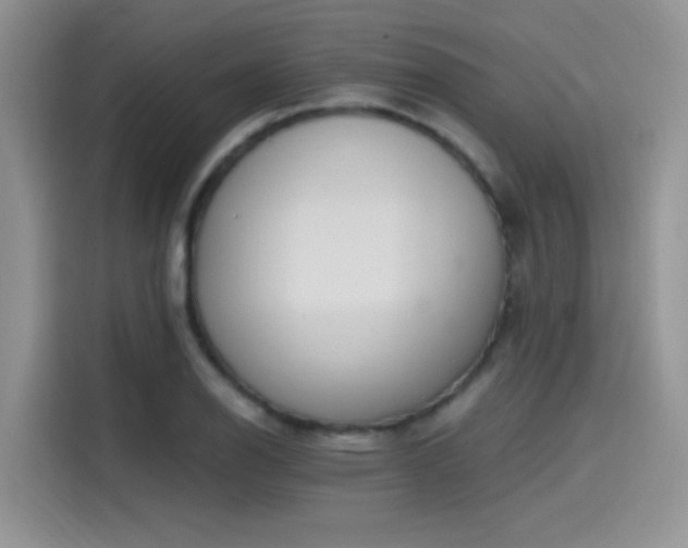 X0000115651126200911171437