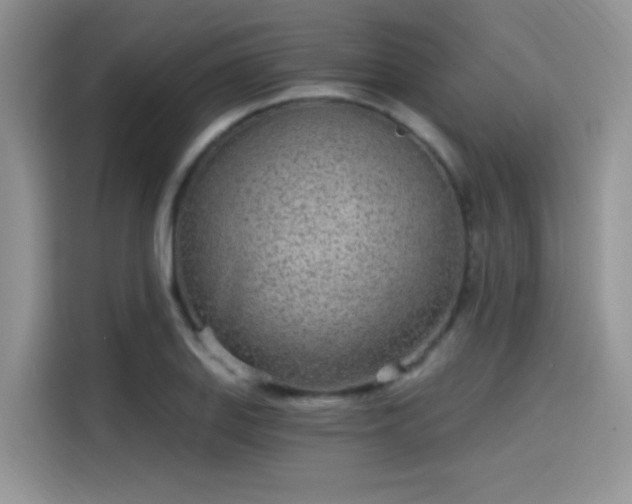 X0000115651127200911171437