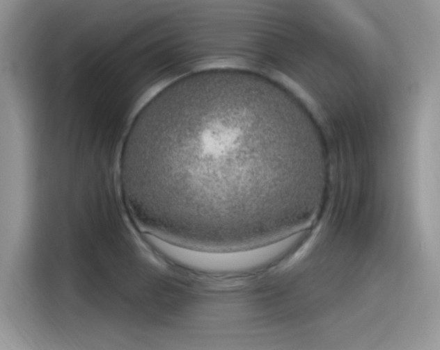 X0000115651129200911171437