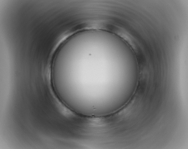 X0000115651130200911171437