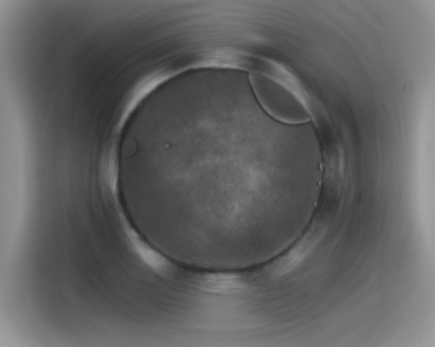 X0000115651131200911171437