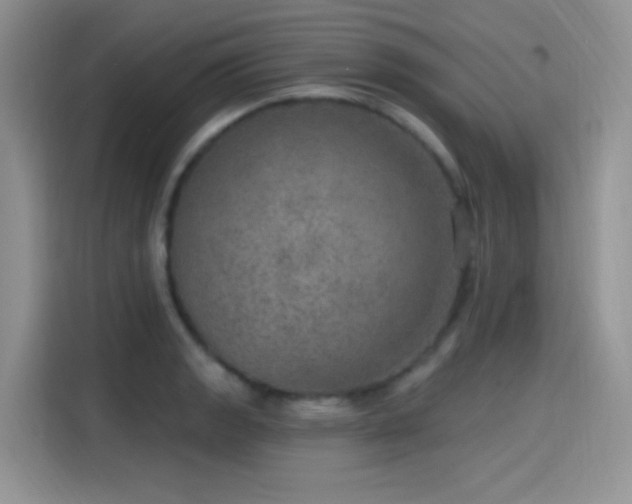 X0000115651133200911171437