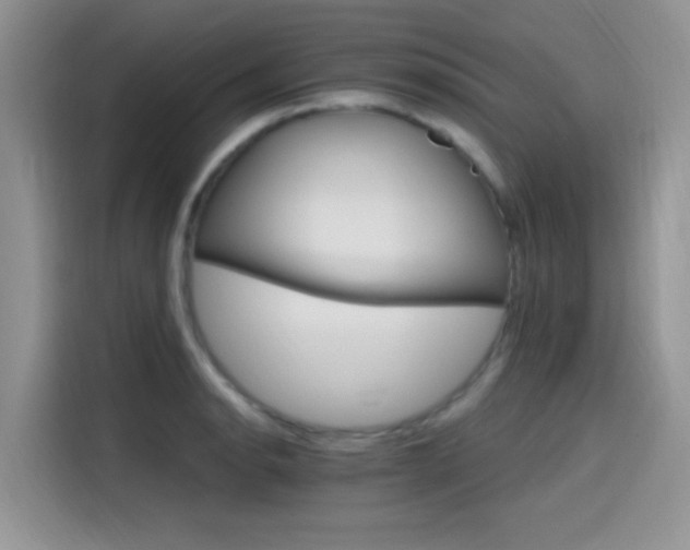 X0000115651134200911171437