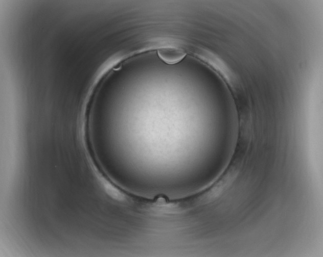 X0000115651135200911171437