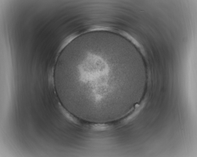 X0000115651137200911171437