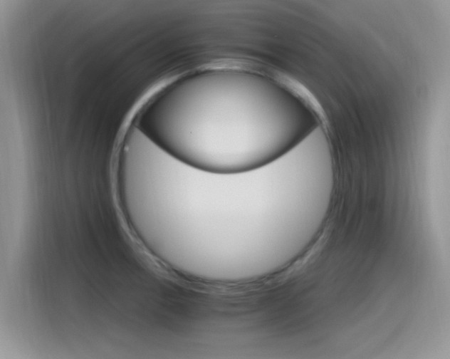 X0000115651138200911171437