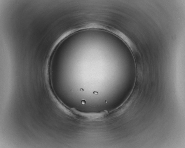 X0000115651142200911171437