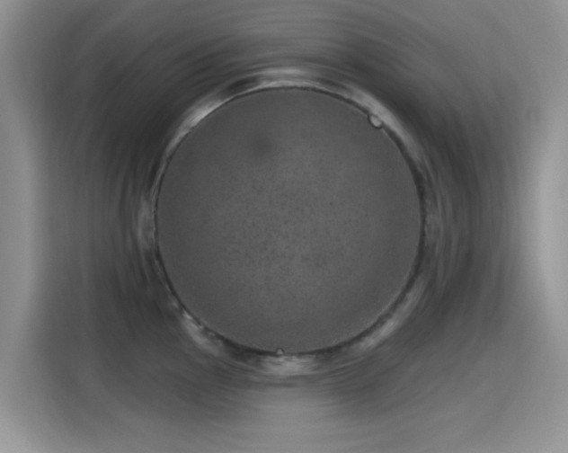 X0000115651145200911171437