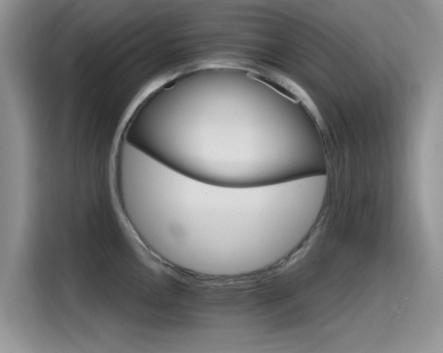 X0000115651146200911171437