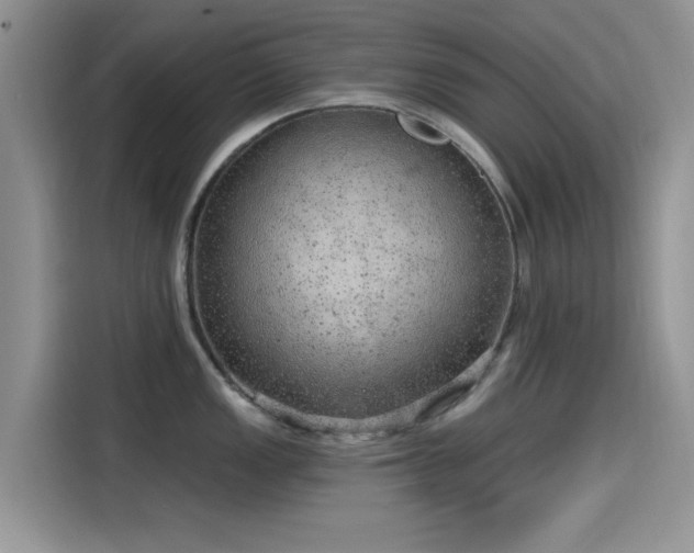 X0000115651149200911171437