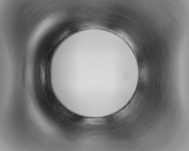 X0000115651150200911171437