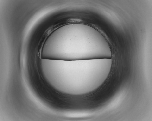 X0000115651151200911171437