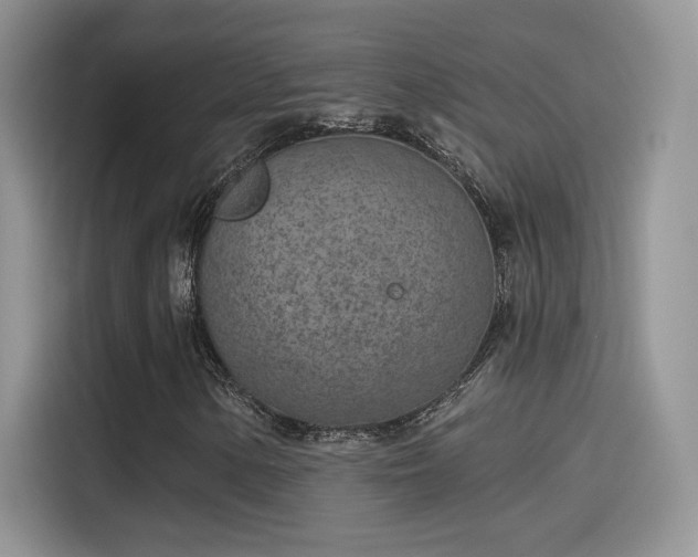 X0000115651154200911171437